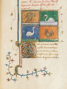 Página de "De Proprietatibus Rerum" de Bartholomeus Anglicus, en la traducción francesa de Jean Corbechon, c.1390 de Pierre Remiet