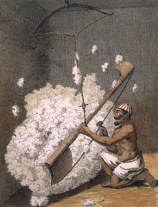 Cardado de algodón de Pierre Sonnerat