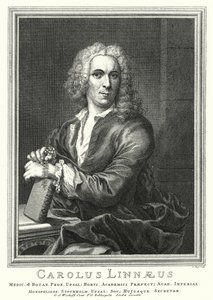 Carl Linnaeus, botánico y zoólogo sueco (grabado) de Pierre Tanje