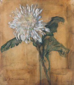 Crisantemo de Piet Mondrian