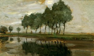 Paisaje de árboles cerca de Gein
