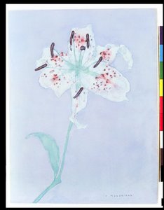 Lirio, después de 1921 de Piet Mondrian