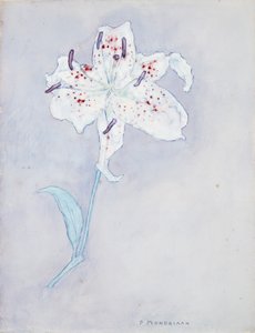 Lirio, c.1920-25