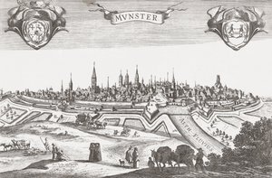 Panorama de Munster, Alemania (impresión) de Pieter (after) Nolpe
