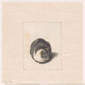 Gato sentado, visto de frente