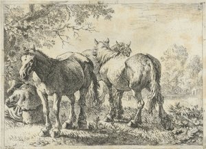 Tres caballos y un granjero Diferentes animales (título de la serie) de Pieter Bodding van Laer