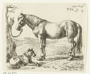 Caballo y perro en un prado Caballos (título de la serie)