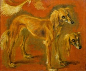 Dos estudios de un galgo de Pieter or Peter Boel