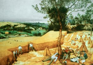 Los cosechadores, 1565 de Pieter Bruegel the Elder