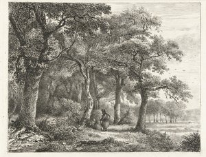 Paisaje de bosque con hombre con mochila.