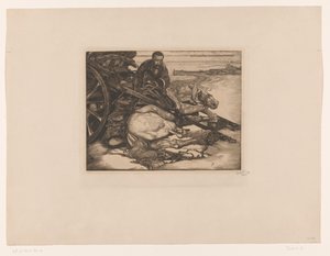 Caballo de tiro herido