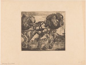 Caballos de tiro cerca del Sena en París
L