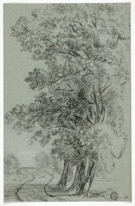 Camino de los árboles de Pieter Gaal