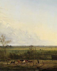 Vista lejana de los prados de 