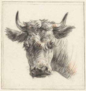 Cabeza de bovino de Pieter Gerardus van Os