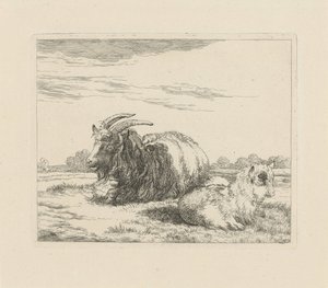 Cabrito y cabrito reclinados Ovejas y cabras (título de la serie) de Pieter Gerardus van Os