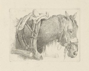 Estudio de la cabeza de un caballo. de Pieter Gerardus van Os