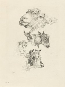 Hoja de estudio con cabezas de oveja, caballo, burro, carnero y toro