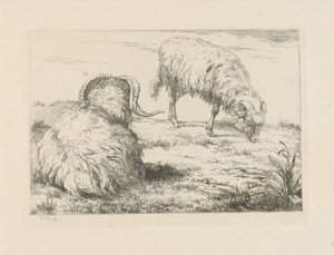 Dos carneros en el prado Ovejas y cabras (título de la serie) de Pieter Gerardus van Os