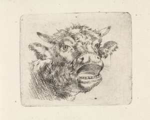 Cabeza de Vaca, bramando de Pieter Janson
