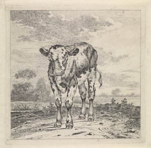 paisaje con becerro de Pieter Janson