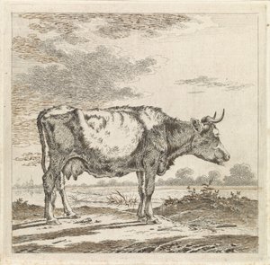 Paisaje con una vaca en el paseo marítimo de Pieter Janson