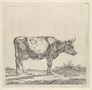 Paisaje con una vaca en el paseo marítimo de Pieter Janson