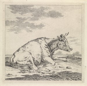 Vaca reclinada, a la derecha