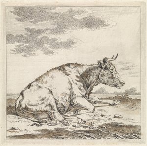 Vaca reclinada, a la derecha
