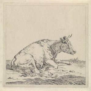 Vaca reclinada, a la derecha de Pieter Janson