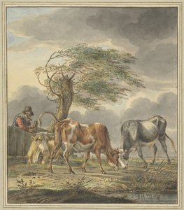 Dos novillos y una vaca
