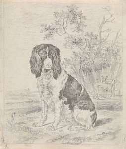 Perro perdiz sentado de Pieter Janson