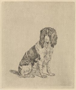 Perro perdiz sentado de Pieter Janson