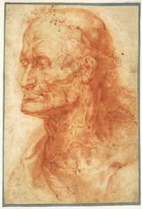 Estudio de la cabeza de un anciano, ca. 1602 de Pieter Paul Rubens