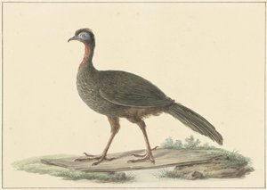 Marrailsjakohoen (Penélope Marail) de Pieter Pietersz. Barbiers