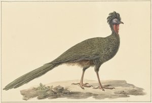 Penélope, en el suelo de Pieter Pietersz. Barbiers