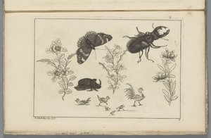 Tres ramas de flores con escarabajo rinoceronte, mariposa y escarabajo
Flores e insectos chinos (título de la serie)