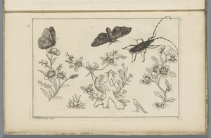 Tres ramas de flores con pájaros, mariposas y un insecto
Flores e insectos chinos (título de la serie)