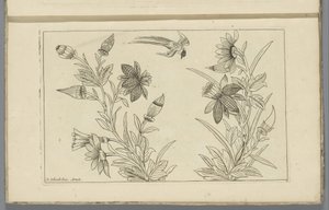 Dos arbustos de flores y una golondrina
Flores y pájaros chinos (título de la serie) de Pieter Schenk (II)