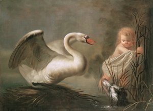 Un cisne protegiendo su nido de un niño y un spaniel