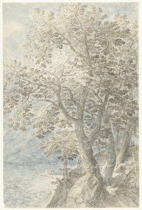 Árboles en la pared de roca escarpada de Pieter Stevens (I)