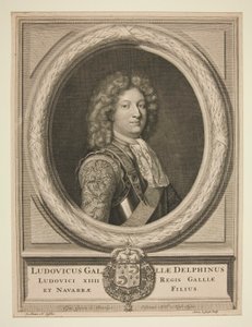Luis XV de Pieter Stevens van Gunst
