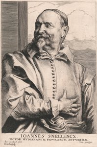 Joannes Snellincx, Pictor Humanarum Figurarum Antuerpiæ de Pieter de Jode