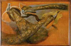 Tres pavos reales (pintura sobre lienzo) de Pieter or Peter Boel