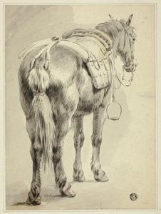 Caballo de silla de Pieter van Bloemen