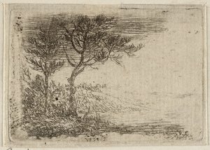 Alemán: Paisaje con dos árboles de Pieter van Laer