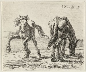 Alemán: Zwei Pferde auf einer Weide
Francés: Les deux chevaux au pâturage
Dos caballos en un prado de Pieter van Laer