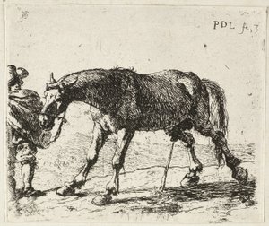 Caballo meón de Pieter van Laer