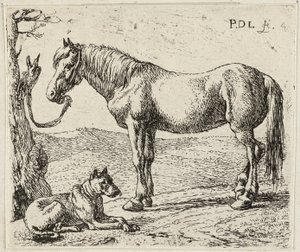 El caballo y el perro de Pieter van Laer
