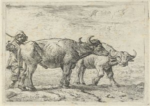 Dos búfalos y un pastor de Pieter van Laer